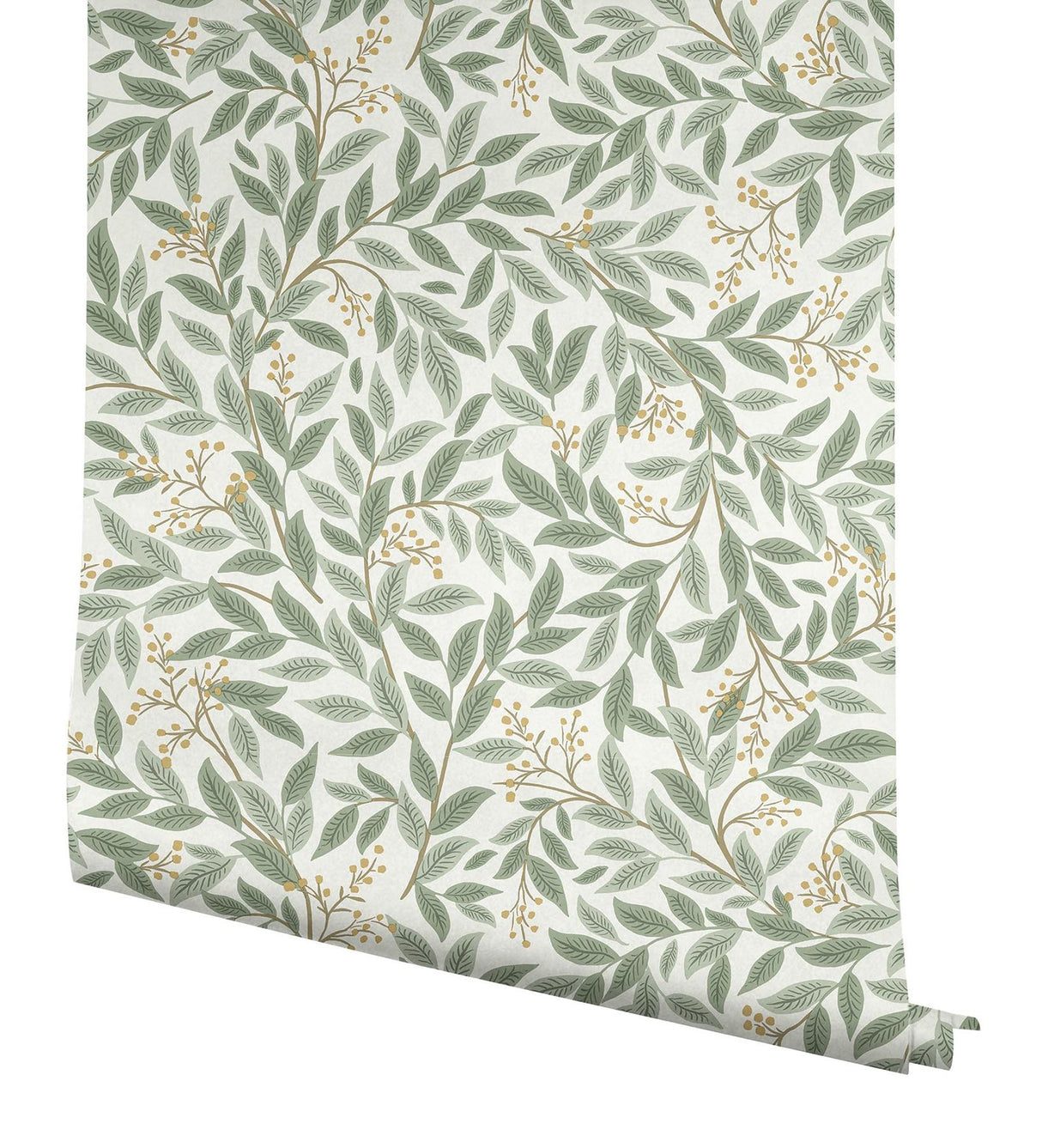 Rifle Paper Co. Willowberry Sage Wallpaper