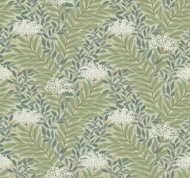 Rifle Paper Co. Highgrove Sage Wallpaper