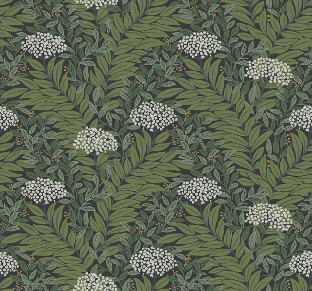 Rifle Paper Co. Highgrove Black Wallpaper