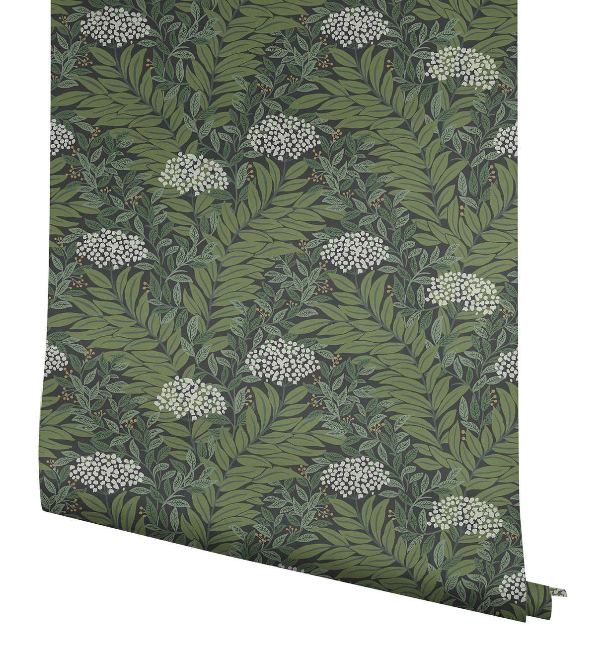 Rifle Paper Co. Highgrove Black Wallpaper