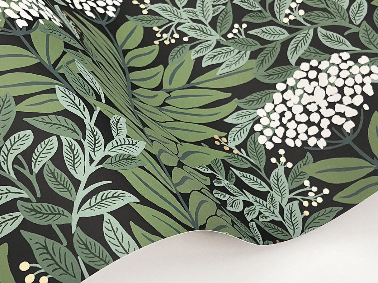 Rifle Paper Co. Highgrove Black Wallpaper