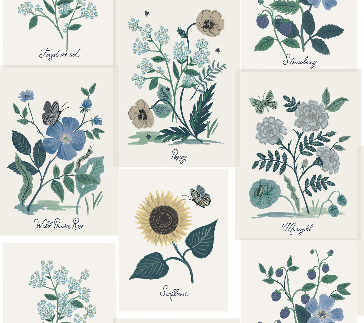 Rifle Paper Co. Botanical Prints White & Blue Wallpaper