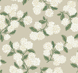 Rifle Paper Co. Hydrangea Beige Wallpaper