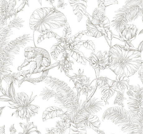 York Wallcoverings Tropical Sketch Toile Brown Wallpaper