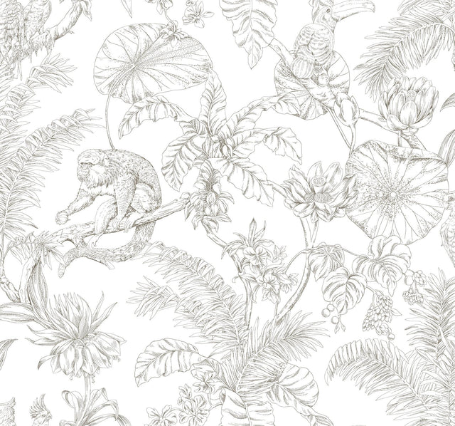 York Wallcoverings Tropical Sketch Toile Brown Wallpaper