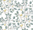 York Wallcoverings Limoncello Toile Forest Wallpaper