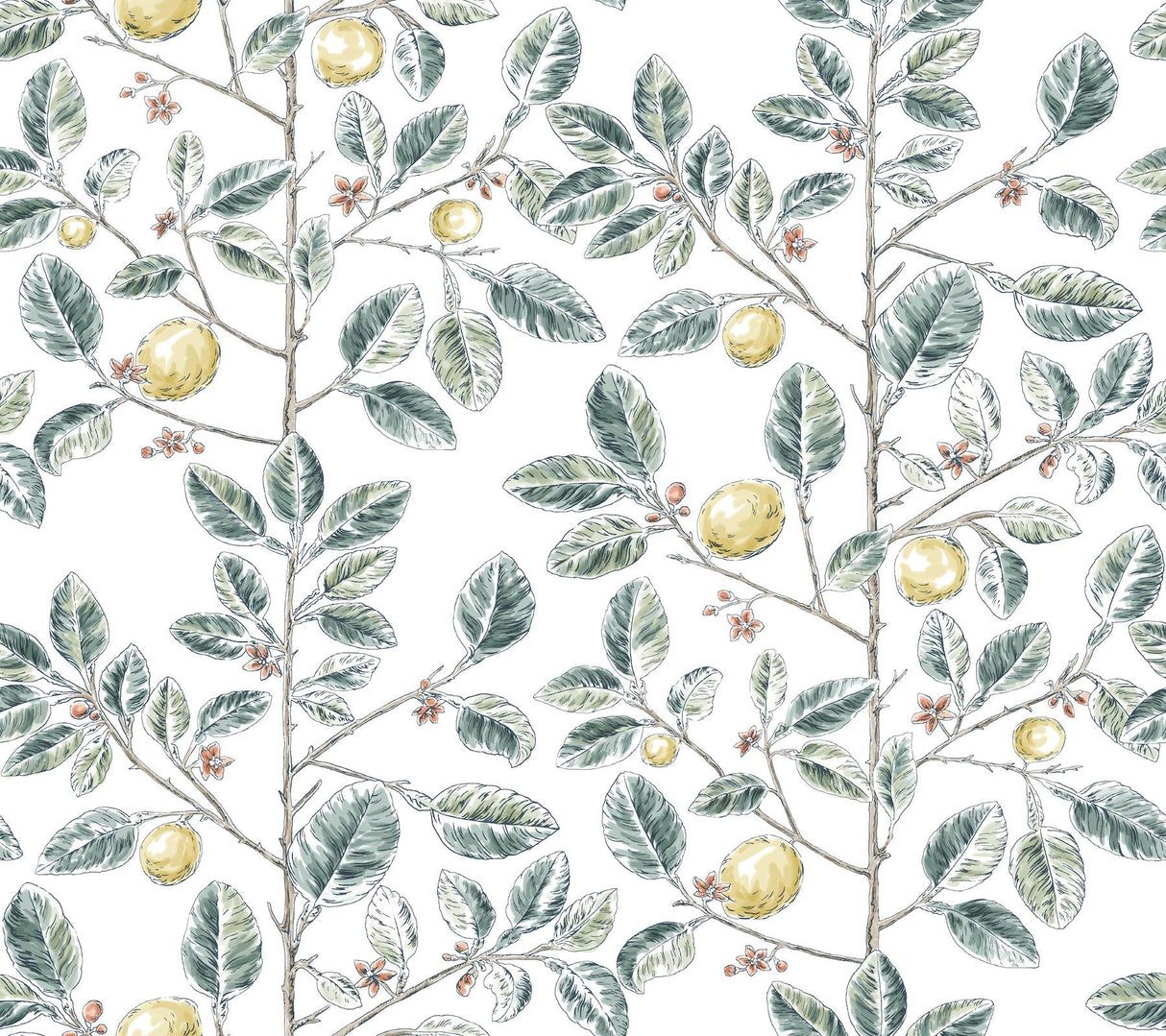 York Wallcoverings Limoncello Toile Forest Wallpaper