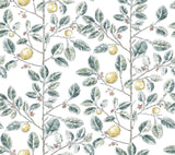 York Wallcoverings Limoncello Toile Forest Wallpaper