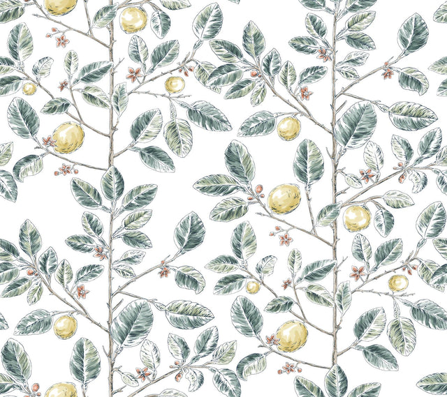 York Wallcoverings Limoncello Toile Forest Wallpaper