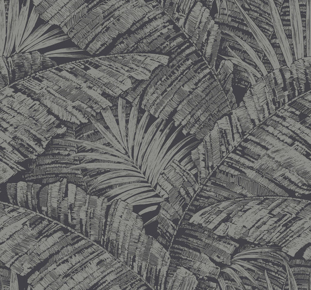York Wallcoverings Palm Cove Toile Silver & Black Wallpaper