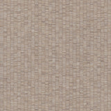 York Wallcoverings Lemuria Taupe Wallpaper