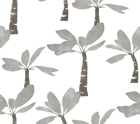 York Wallcoverings Painted Oasis Carbon & Graphite Wallpaper