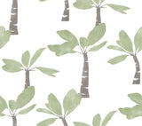 York Wallcoverings Painted Oasis Leaf Green Wallpaper