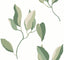 York Wallcoverings Brushwork Branches Leaf Green Wallpaper