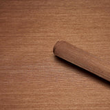 Schumacher X Backdrop Haruki Sisal Ghost Ranch Wallpaper