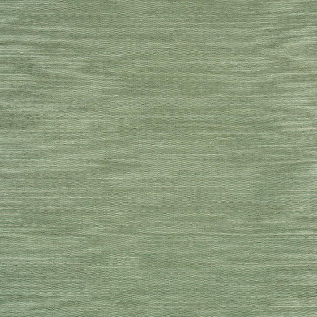 Schumacher X Backdrop Haruki Sisal Drive-Thru Safari Wallpaper