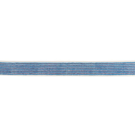 Schumacher Blue Stripe & Dot Hand Block Trim