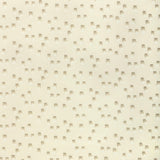 Lee Jofa SIGNAL ECRU Drapery Fabric