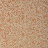 Lee Jofa ATLAS GINGER Upholstery Fabric
