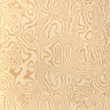 Lee Jofa ATLAS DUNE Upholstery Fabric