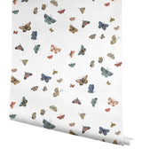 Kravet KRAVET DESIGN W4289 Wallpaper