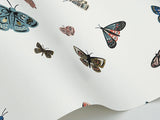 Kravet KRAVET DESIGN W4289 Wallpaper