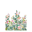 Kravet DESIGN W4302 512 Wallpaper