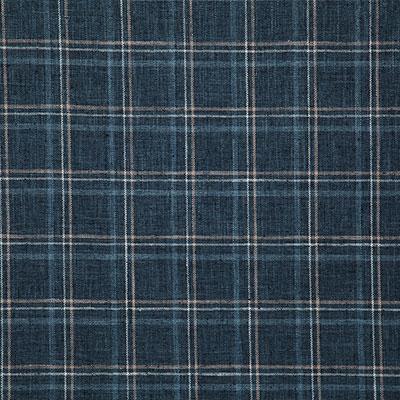 Pindler BURBANK INK Fabric