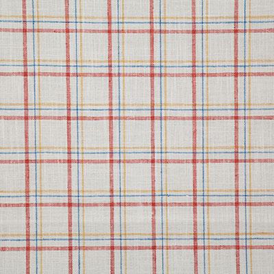Pindler BURBANK SPICE Fabric
