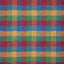 Pindler SELMA FIESTA Fabric