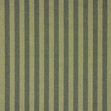 Schumacher Hanson Indoor/Outdoor Stripe Green Fabric