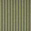 Schumacher Hanson Indoor/Outdoor Stripe Green Fabric