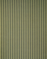 Schumacher Hanson Indoor/Outdoor Stripe Green Fabric