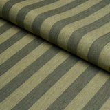 Schumacher Hanson Indoor/Outdoor Stripe Green Fabric