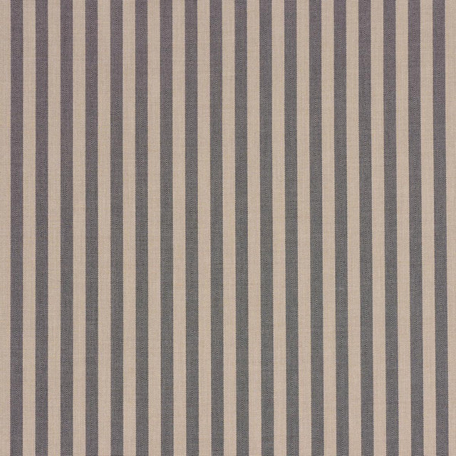 Schumacher Hanson Indoor/Outdoor Stripe Narrow Carbon Fabric