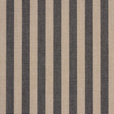 Schumacher Hanson Indoor/Outdoor Stripe Narrow Carbon Fabric