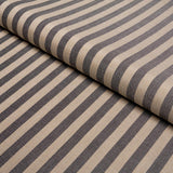 Schumacher Hanson Indoor/Outdoor Stripe Narrow Carbon Fabric