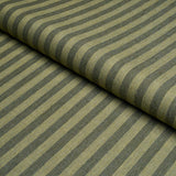 Schumacher Hanson Indoor/Outdoor Stripe Narrow Green Fabric