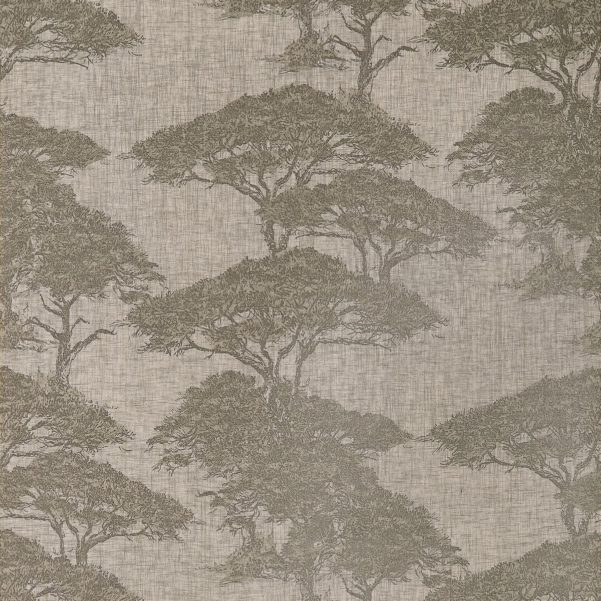 Thibaut Torrey Pines Beige And Black Wallpaper