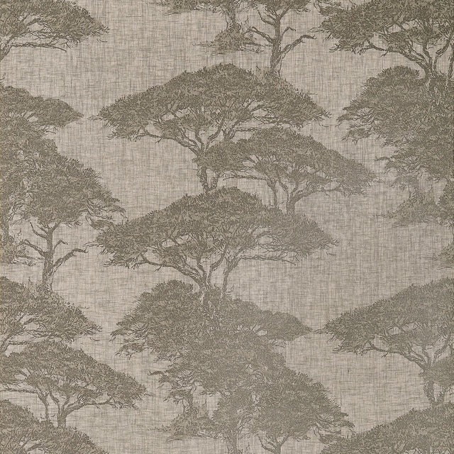 Thibaut Torrey Pines Beige And Black Wallpaper