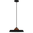 Robert Abbey (B515) 14" x 6" MAVISTEN EDITION FAR PENDANT