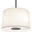 Robert Abbey (Z2179) 20" x 12.5" ECHO PENDANT