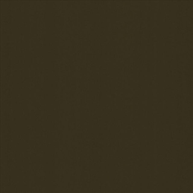 Kasmir Alta Vista Coco Fabric