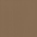 Kasmir Alta Vista Almond Fabric