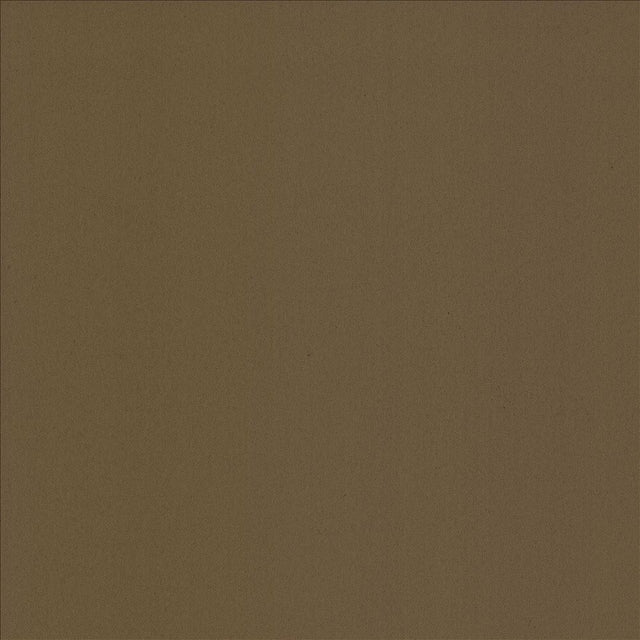 Kasmir Alta Vista Chestnut Fabric