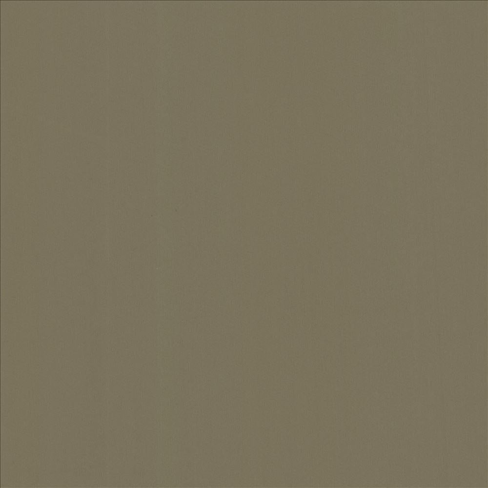 Kasmir Alta Vista Tan Fabric