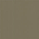 Kasmir Alta Vista Tan Fabric