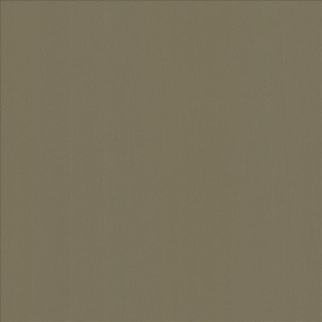 Kasmir Alta Vista Tan Fabric