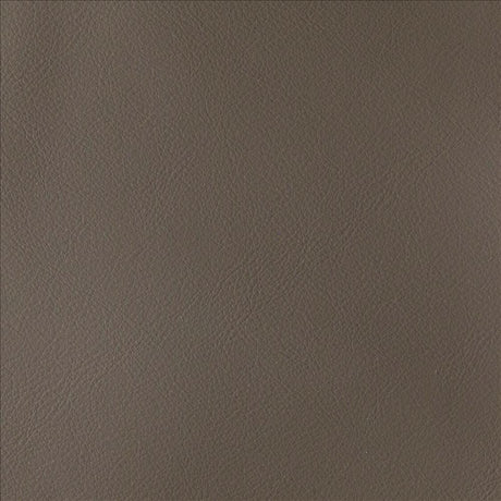 Kasmir By Design Coffee Fabric