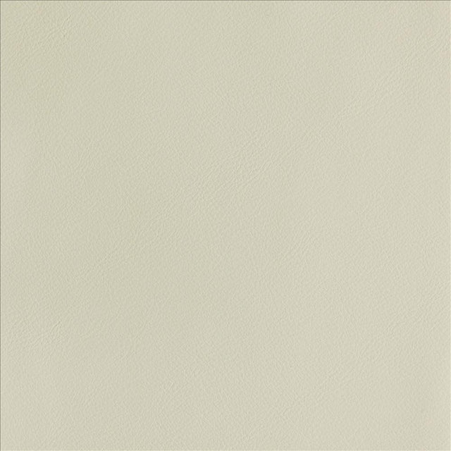 Kasmir By Design Ecru Fabric